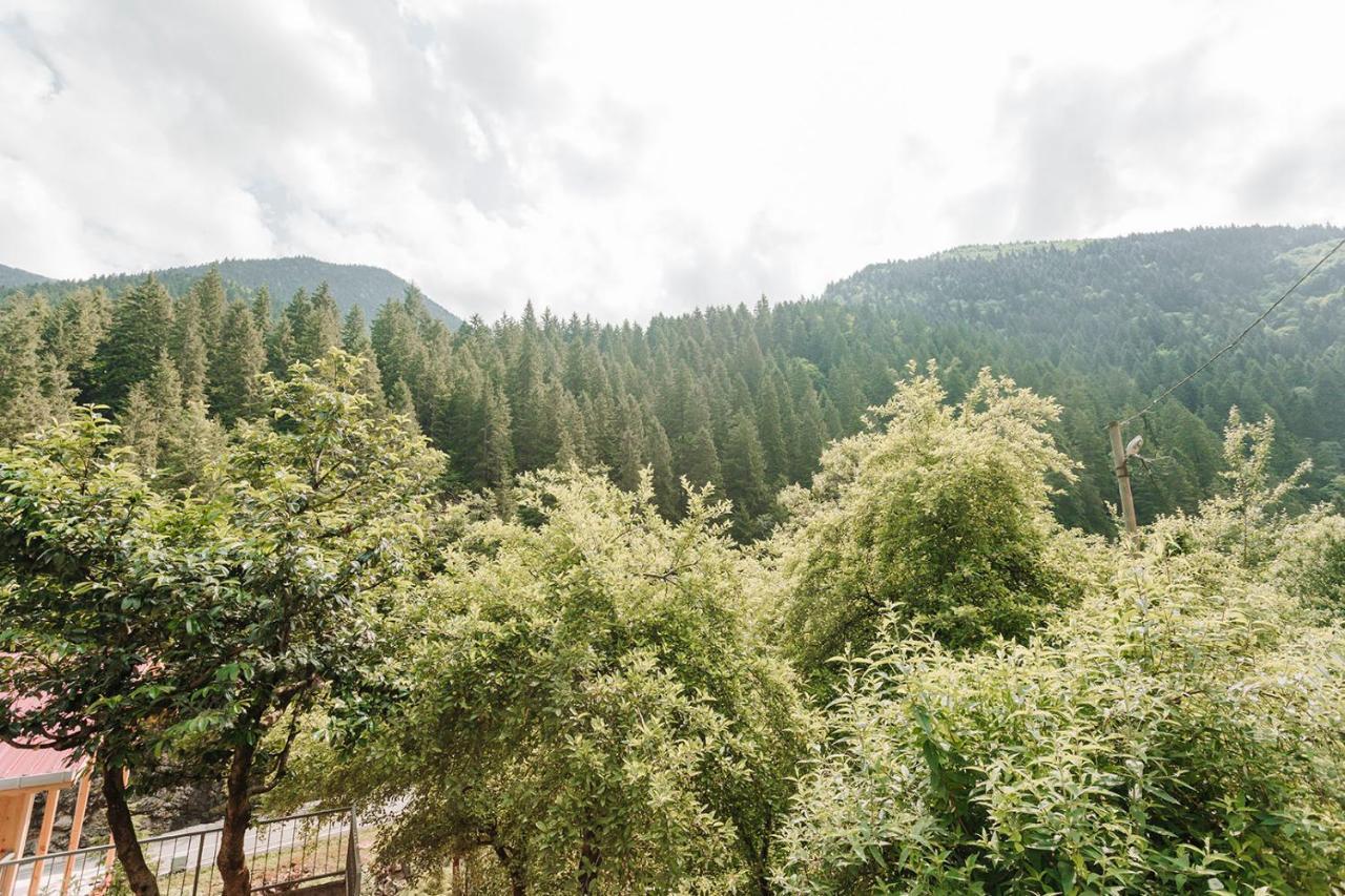 Iskalita Otel Altindere Exteriér fotografie